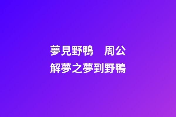 夢見野鴨　周公解夢之夢到野鴨